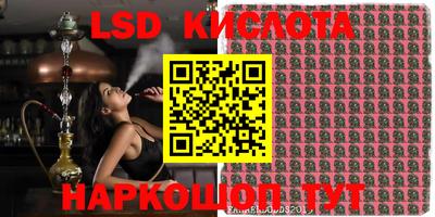 прущие крисы Можга
