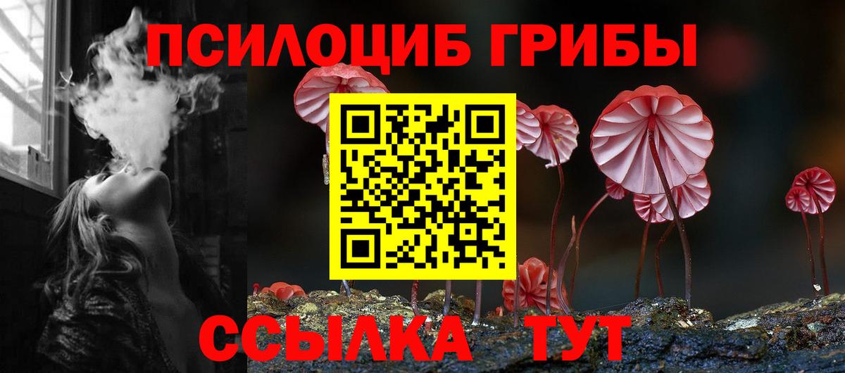 Великий Устюг  Галлюциногенные грибы Magic Shrooms  Вход с VPN  наркота  Галлюциногенные грибы прущие грибы 